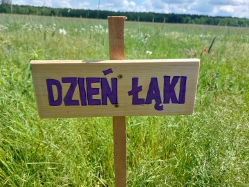 Dzień Łąki na Polu Nieborowskim z Fundacją „Kwietna” , 